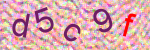 capcha